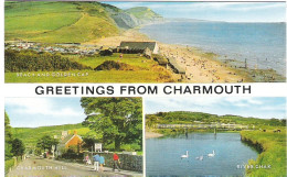 SCENES FROM CHARMOUTH, DORSET, ENGLAND. UNUSED POSTCARD Mm5 - Andere & Zonder Classificatie