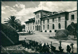 Livorno Rosignano Solvay Foto FG Cartolina ZKM8339 - Livorno