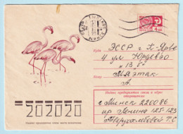 USSR 1974.0319. Flamingo. Prestamped Cover, Used - 1970-79