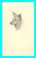 A738 / 649 CHIEN Carte PHOTO ! - Hunde