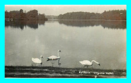 A737 / 345 The Lake Virginia Water ( Cygne ) - Surrey