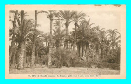 A741 / 227 Espagne ELCHE Huerto Imperial La Famosa Palmera - Alicante