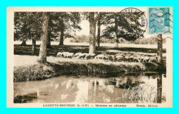 A750 / 485 41 - LAMOTTE BEUVRON Moutons Au Paturage - Lamotte Beuvron