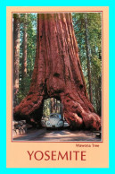 A758 / 591 YOSEMITE Wawona Tree ( Voiture ) - Yosemite