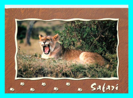 A757 / 401 Safari Lioness Lion Lionne - Leones