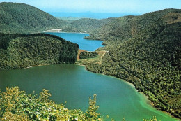 2 AK Neuseeland * Blick Auf Die Kraterseen Lake Rotokakahi Auch (Green Lake) Und Lake Tikitapu Auch (Blue Lake) * - Nouvelle-Zélande