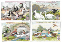 S 607, Liebig 6 Cards, Oiseaux De Basse-cour (lower Condition, Backsites Have Damage) - Liebig