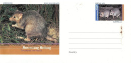 Australia - Aerogram - Burrowing Bettong - Aérogrammes