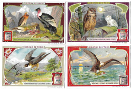 S 872, Liebig 6 Cards, Oiseaux De Proie (small Damage In Corners) - Liebig