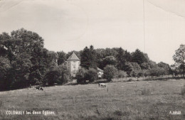 COLOMBEY LES DEUX EGLISES LA BOISSERIE - Colombey Les Deux Eglises