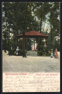 AK Ludwigshafen A. Rhein, Partie Aus Dem Stadtpark  - Ludwigshafen