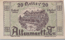 20 HELLER 1920 Stadt ALTENMARKT AN DER TRIESTING Niedrigeren Österreich #PE186 - [11] Local Banknote Issues