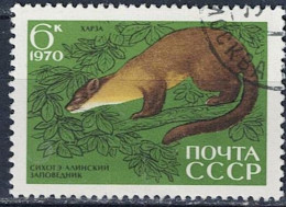 Sowjetunion UdSSR - Indischer Charsa (Martes Gwatkinsi) (MiNr. 3788) 1970 - Gest Used Obl - Used Stamps