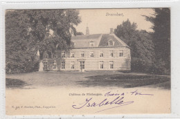 Brasschaet. Chateau De Mishaegen. * - Brasschaat