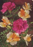 FLORES Vintage Tarjeta Postal CPSM #PBZ405.ES - Fleurs