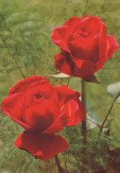 FLOWERS Vintage Ansichtskarte Postkarte CPSM #PAS120.DE - Fleurs