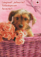 HUND Tier Vintage Ansichtskarte Postkarte CPSM #PAN777.DE - Hunde