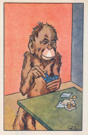 SCIMMIA Animale Vintage Cartolina CPA #PKE769.IT - Monkeys