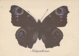 FARFALLA Animale Vintage Cartolina CPSM #PBS436.IT - Papillons