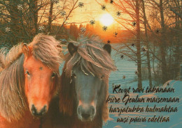 CAVALLO Animale Vintage Cartolina CPSM #PBR913.IT - Chevaux
