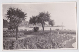 Torquay Tor Abbey Vane Hill Old Photo Postcard - Torquay