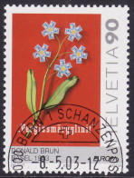 Schweiz: SBK-Nr. 1093 (Europa: Donald Brun 2003) ET-gestempelt - Used Stamps