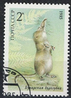 Sowjetunion UdSSR - Buchara-Spitzmaus (Sorex Bucharensis) (MiNr. 5537) 1985 - Gest Used Obl - Usados