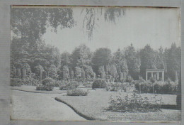 Neg1746/ Hamburg Ohlsdorf Friedhof Rosengarten Original-Negativ 1940/50 - Nord