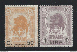 1906-07 SOMALIA, Leoni Sorastampati In Moneta Italiana , N° 15/16 ,  2 Valori , - Somalië