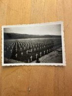 Foto U.S. Military Cemetary Hamm Luxembourg Petit Little G. Mirgain 1946 Overview - 1939-45