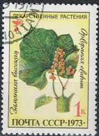 Sowjetunion UdSSR - Igelkraftwurz (Oplopanax Horridus) (MiNr. 4156) 1973 - Gest Used Obl - Used Stamps