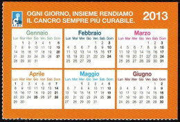 ITALIA 2013 - CALENDARIO TASCABILE - AIRC - OGNI GIORNO, INSIEME, RENDIAMO IL CANCRO SEMPRE PIU' CURABILE - I - Small : 2001-...