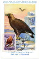 OISEAU / Aigle Royal = HONGRIE 1964  N° 256 = CARTE MAXIMUM INSTITUT ROYAL De BELGIQUE - Águilas & Aves De Presa