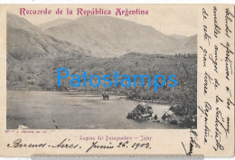 227451 ARGENTINA JUJUY LAGUNA DE DESAGUADERO CIRCULATED TO GERMANY POSTAL POSTCARD - Argentina