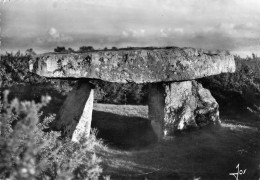 29 - Morgat - Cap De La Chèvre - Le Dolmen De Rostudel - Morgat