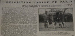 1906 L'EXPOSITION CANINE DE PARIS - LA VIE AU GRAND AIR - 1900 - 1949