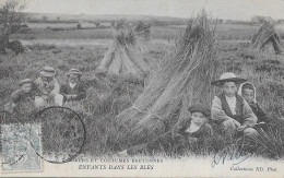 CPA - Mœurs Et Coutumes Bretonnes - Enfants Dans Les Blés - 1904 - Bretagne