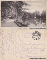 Ansichtskarte Glauchau Gründelteich 1916 - Glauchau