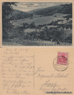 Ansichtskarte Eisenberg (Thüringen) Blick Ins Mühltal 1919 - Eisenberg