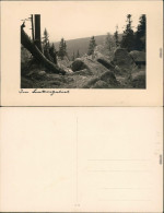 Ansichtskarte  Mittelgebirge Felsen Und Bäume 1936 Privatfoto - A Identificar