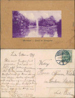 Ansichtskarte Düsseldorf Floragarten Mit Teich Und Fontäne Parcepartout 1909 - Duesseldorf