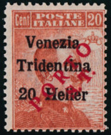 ITALIA TRENTINO-ALTO ADIGE 1919 SEGNATASSE PROVVISORI 20 H. (Sass. BZ3/132) NUOVO INTEGRO - Trentin