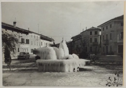 1964 SEDEGLIANO PIAZZA E VIA ROMA / UDINE - Otros & Sin Clasificación