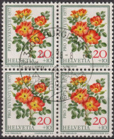1977 Schweiz Juventute ° Mi:CH 1112 Yt:CH 1042, Zum:CH J261,  Rose Foetida Bicolor - Usati