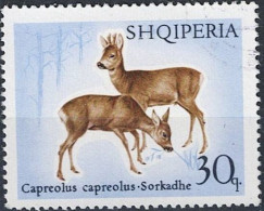 Albanien Albania Albanie - Reh (Capreolus Capreolus) Vers. Bilder (MiNr: 1172) 1967 - Gest Used Obl - Albanie