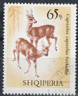 Albanien Albania Albanie - Reh (Capreolus Capreolus) Vers. Bilder (MiNr: 1175) 1967 - Gest Used Obl - Albania