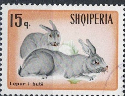 Albanien Albania Albanie - Hauskaninchen (Oryctolagus Cuniculus Domesticus) (MiNr: 1193) 1967 - Gest Used Obl - Albanië