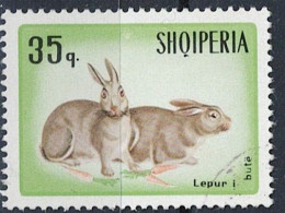 Albanien Albania Albanie - Hauskaninchen (Oryctolagus Cuniculus Domesticus) (MiNr: 1196) 1967 - Gest Used Obl - Albanië