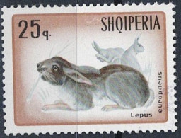 Albanien Albania Albanie - Feldhase (Lepus Europaeus) (MiNr: 1195) 1967 - Gest Used Obl - Albania