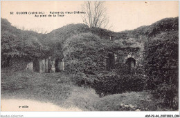 ADPP2-44-0141 - OUDON - Ruines Du Vieux Château - Au Pied De La Tour - Oudon